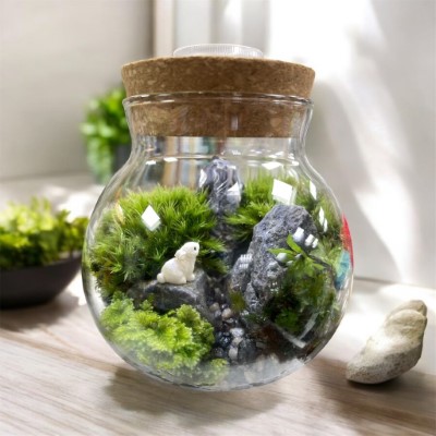 圖2、微景觀瓶成品 (林業保育署新竹分署提供)